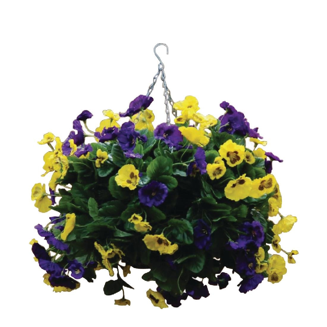 cg573_y_pansy-ball-yellow-_-purple.jpg