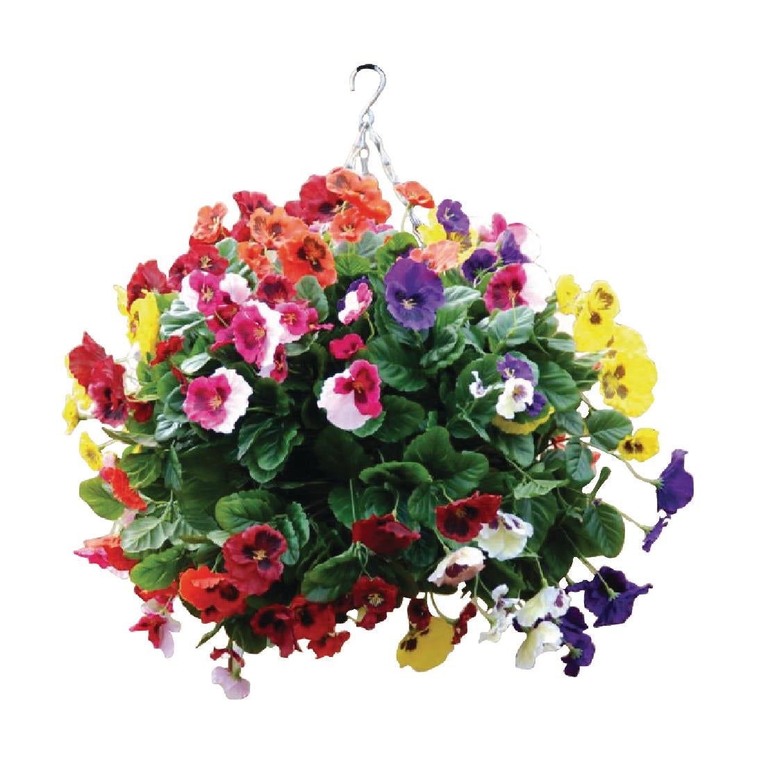 cg575_y_pansy-ball-mixed.jpg